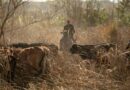 Reclassificação climática traz oportunidades e riscos para o Norte e Noroeste Fluminense