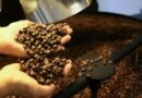 Preço do café cai pela primeira vez depois de 18 meses, diz IBGE
