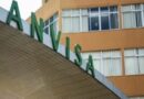 De papinha a molho de pimenta: Anvisa suspende comercialização de produtos